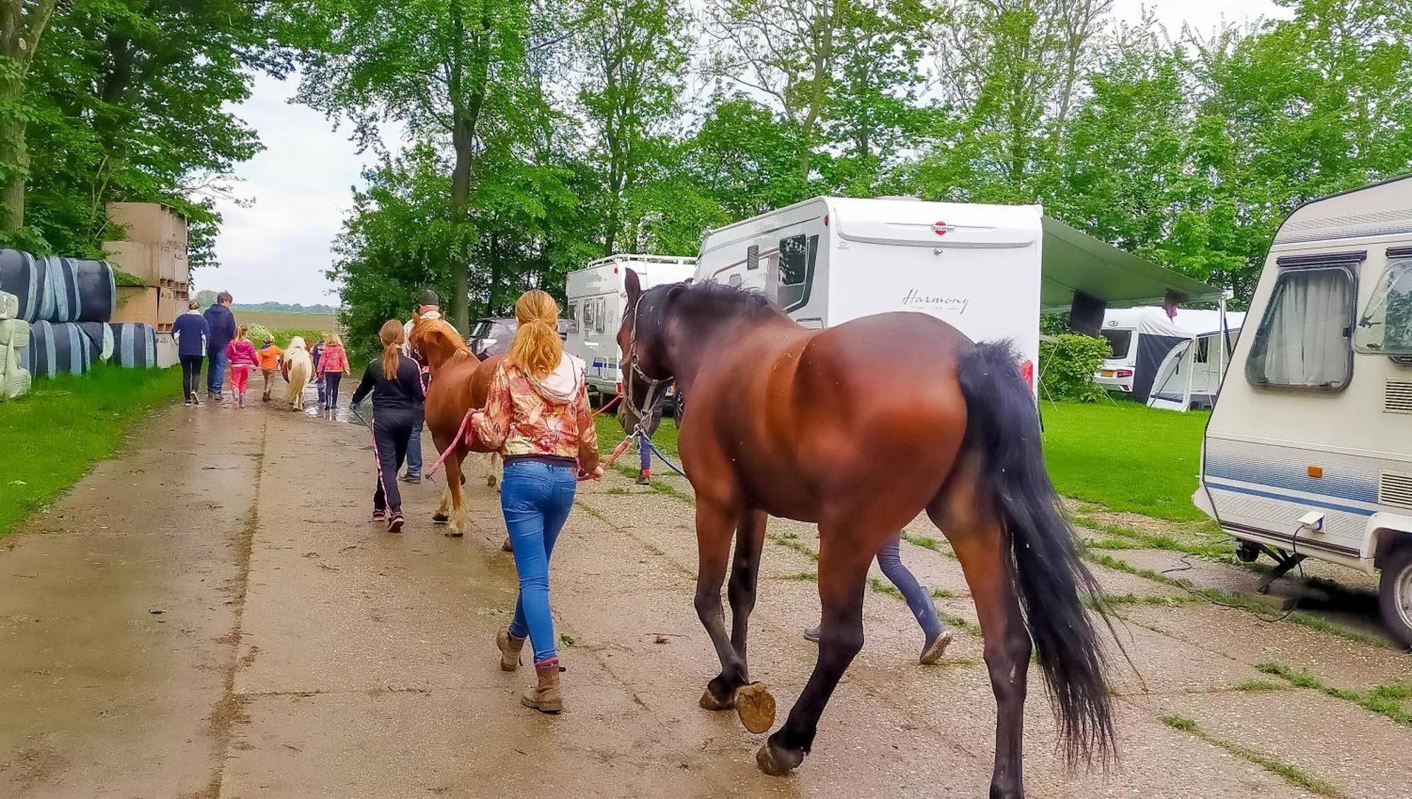 Boerderijcamping De Hinde Dronten Kültér fotó